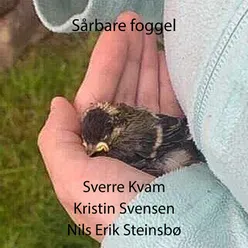 Sårbare foggel