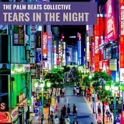 Tears in the Night Radio Edit