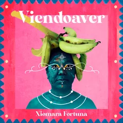 Viendoaver