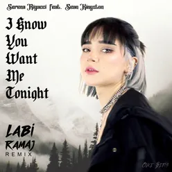 I Know You Want Me Tonight Remix