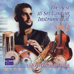 The Best 16 Sri Lankan Instrumental, Vol. 3