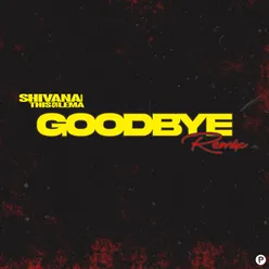 Goodbye Too Martian Remix