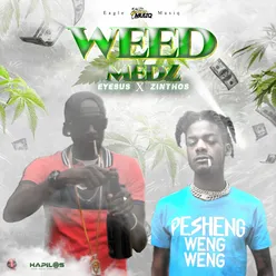 Weed Medz