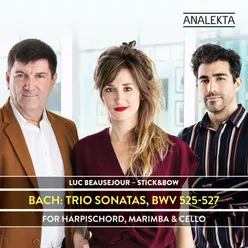 Trio Sonata No. 3 in D Minor, BWV 527: I. Andante (Arr. for Harpsichord, Marimba & Cello)