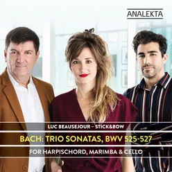 Trio Sonata No. 3 in D Minor, BWV 527: II. Adagio e dolce (Arr. for Harpsichord, Marimba & Cello)