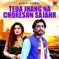 Teda Jhang Na Choreson Sajanr - Single