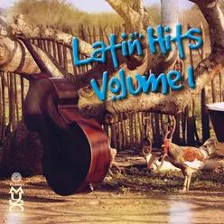 Latin Hits, Vol. 1