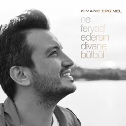 Ne Feryad Edersin Divane Bülbül