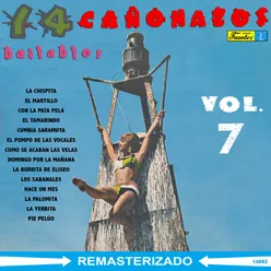 14 Cañonazos Bailables, Vol. 7