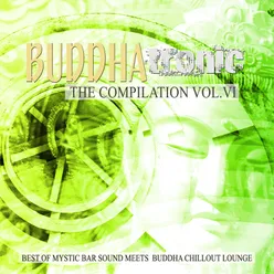 Buddhatronic - the Compilation, Vol. VI (Best of Mystic Bar Sound Meets Buddha Chill out Lounge)
