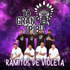 Ramitos de Violeta