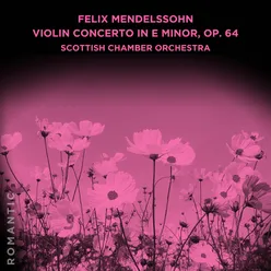 Violin Concerto in E Minor, Op. 64: III. Allegro molto vivace