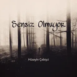 Sensiz Olmuyor