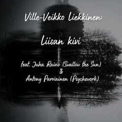 Liisan kivi