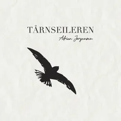 Tårnseileren