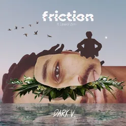 Friction (feat. Lesedi Zim)