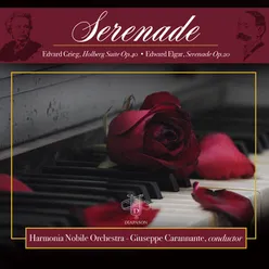 Serenade for String Orchestra in E minor, Op. 20: II. Larghetto