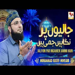 Jaliyon Par Nigahien Jammi Hain