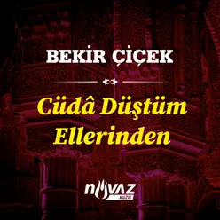 Cüdâ Düştüm Ellerinden