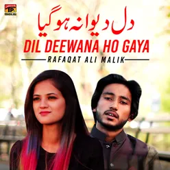 Dil Deewana Ho Gaya - Single