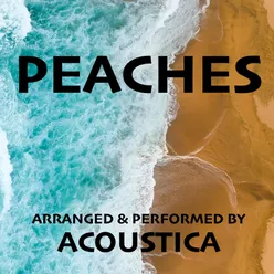Peaches Guitar Ukulele Instrumental Cover