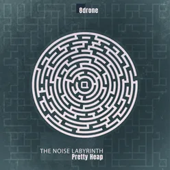 The Noise Labyrinth