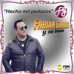 Hecho Mil Pedazos Radio Edit