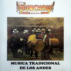 Musica Tradicional de los Andes