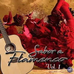 Sabor a Flamenco Vol. 1