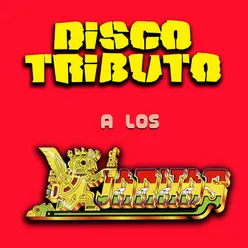Disco Tributo a "Los Kjarkas"