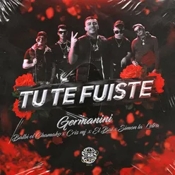 Tu Te Fuiste