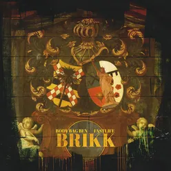 Brikk