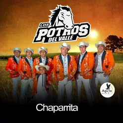 Chaparrita