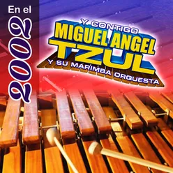 Cumbias Pasito Tun Tun: Pasito Tun Tun / Pagaras / La Suavecita / La Magia Negra / La Colegiala / Canchis Canchis / El Negrito de Mi Tierra