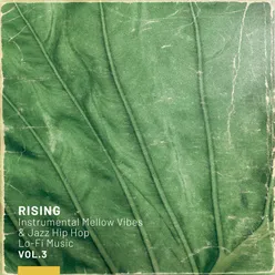 Rising Vol.3 - Instrumental Mellow Vibes & Jazz Hip Hop Lo-Fi Music
