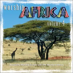 Worship Africa, Vol. 4