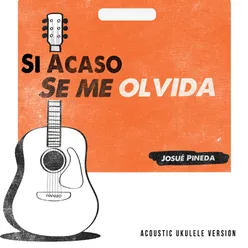 Si Acaso Se Me Olvida (Acústico)