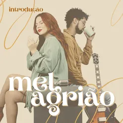 Introdução: Mel