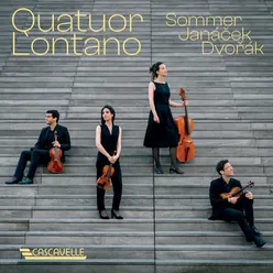 String Quartet No. 1 "Kreutzer Sonata": II. Con Moto - Vivo - Andante