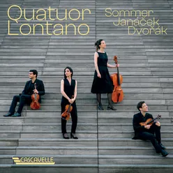 String Quartet No. 12 in F Major, Op. 96, B. 179 "American": III. Molto vivace