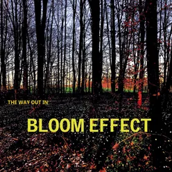 Bloom Effect