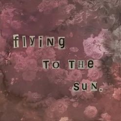 Flying to the Sun