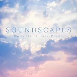 SOUNDSCAPES -Moments of Pure Peace- singing bowl