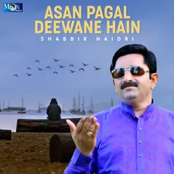 Asan Pagal Deewane Hain - Single