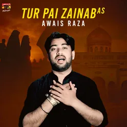 Tur Pai Zainab AS - Single