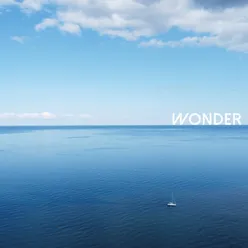 Wonder