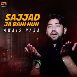 Sajjad Ja Rahi Hun - Single
