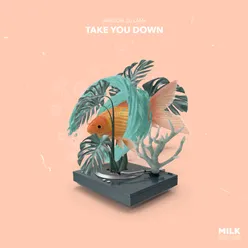 Take You Down