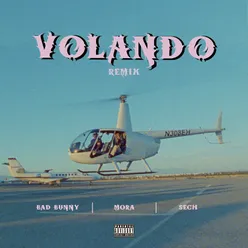 Volando Remix