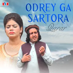 Odrey Ga Sartora